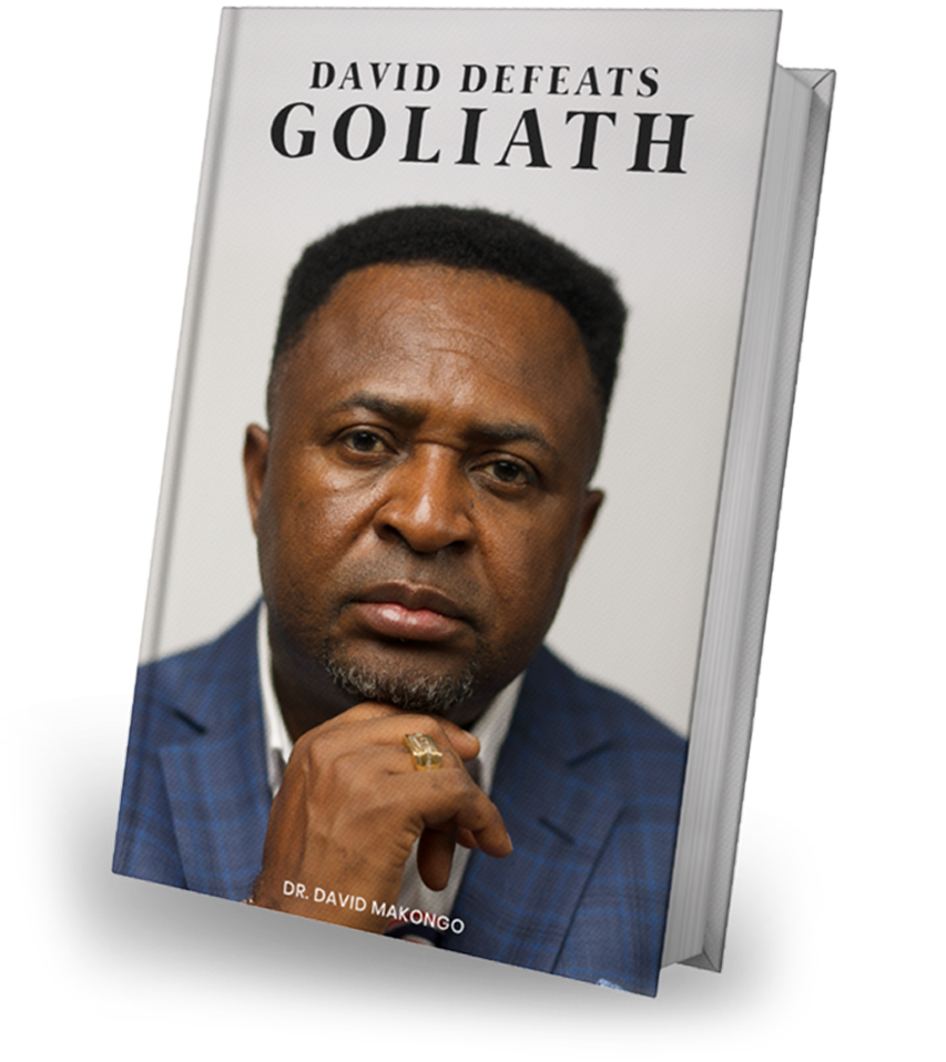 David Defeats Goliath Book